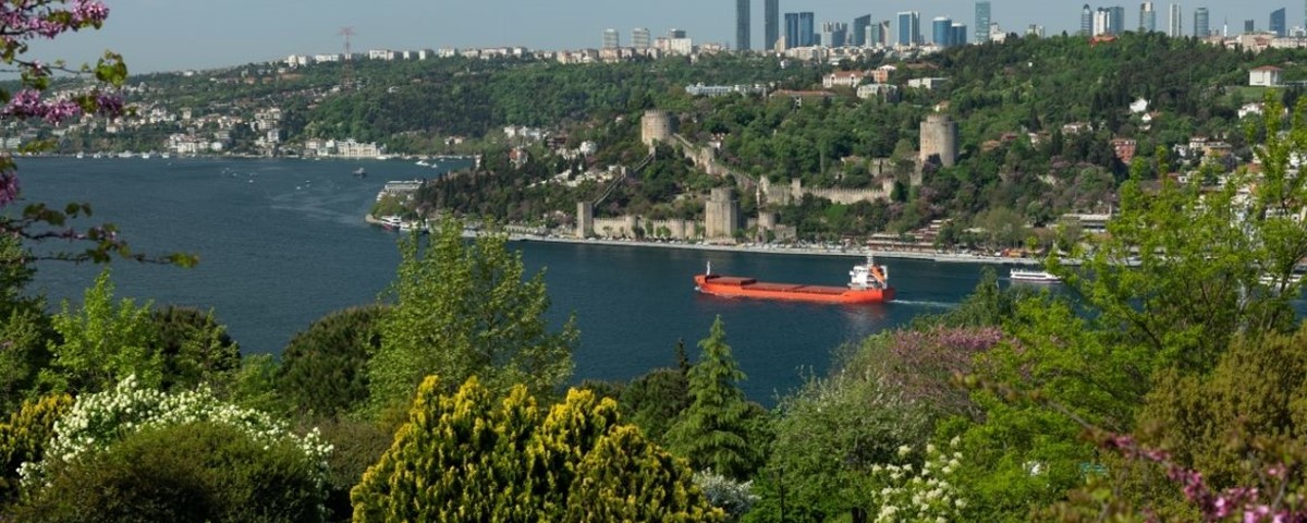 Sana Dün Bir Tepeden Baktım Aziz İstanbul