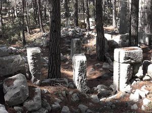 Sia Antik Kenti artık ormanların kenti olmuştur.