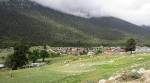 Podalia