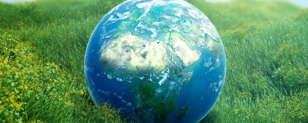 5 Haziran Dünya Çevre Günü – Ekolojinin Değeri