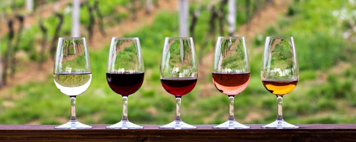 Şarap Tadım Notları Nasıl Belirlenir?