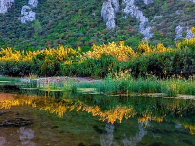 Antalya’nın Bitki Çeşitliliği ve Antalya’nın Endemik Türleri