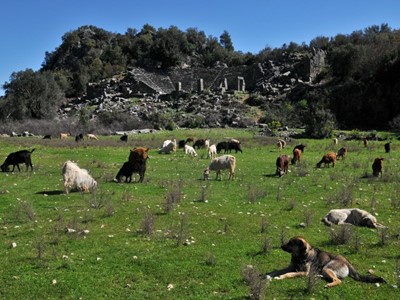 Pinara Antik Kenti / Likya Yolu - Antalya